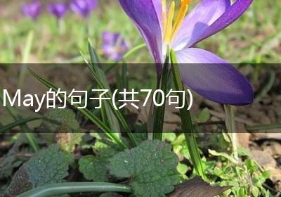 May的句子(共70句)