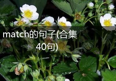match的句子(合集40句)