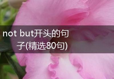 not but开头的句子(精选80句)