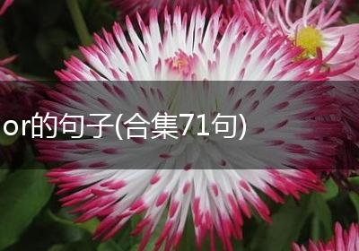 or的句子(合集71句)