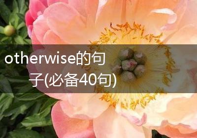 otherwise的句子(必备40句)