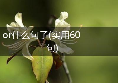 or什么句子(实用60句)
