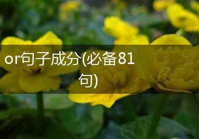 or句子成分(必备81句)