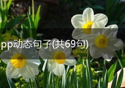 pp动态句子(共69句)
