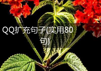 QQ扩充句子(实用80句)