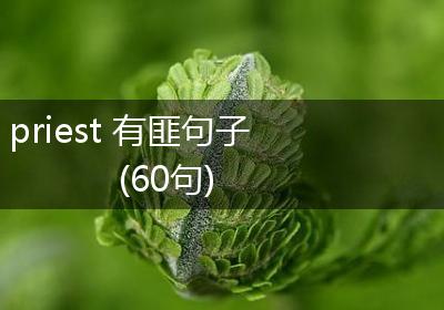 priest 有匪句子(60句)