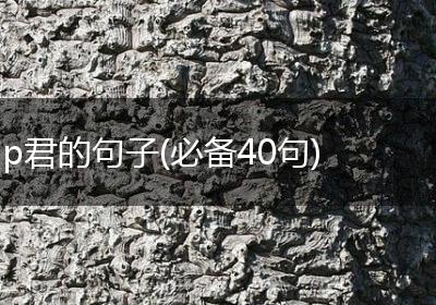 p君的句子(必备40句)