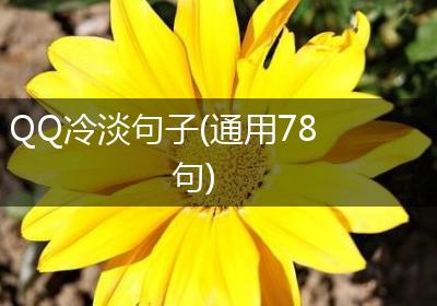 QQ冷淡句子(通用78句)