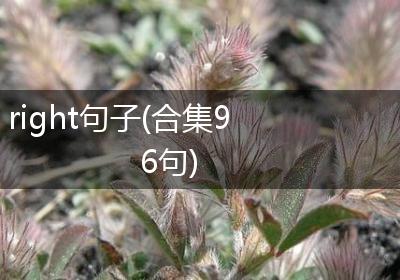right句子(合集96句)