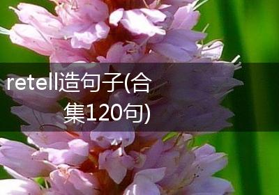 retell造句子(合集120句)