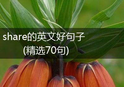 share的英文好句子(精选70句)