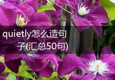 quietly怎么造句子(汇总50句)