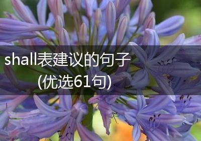 shall表建议的句子(优选61句)