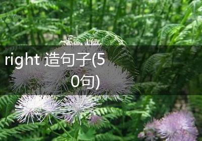 right 造句子(50句)