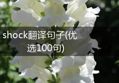 shock翻译句子(优选100句)