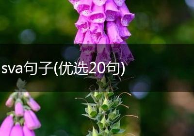 sva句子(优选20句)