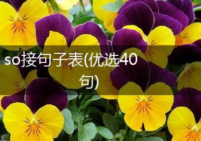 so接句子表(优选40句)