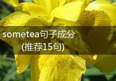 sometea句子成分(推荐15句)