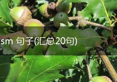 sm 句子(汇总20句)