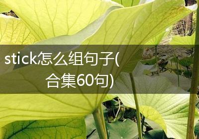 stick怎么组句子(合集60句)