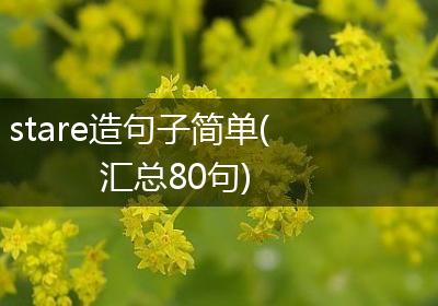 stare造句子简单(汇总80句)