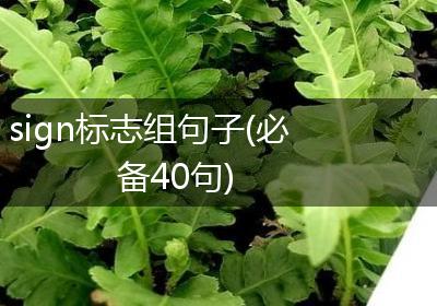 sign标志组句子(必备40句)