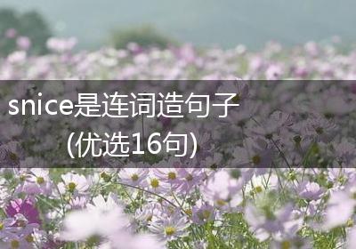 snice是连词造句子(优选16句)