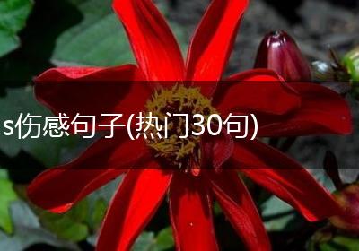 s伤感句子(热门30句)
