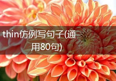 thin仿例写句子(通用80句)