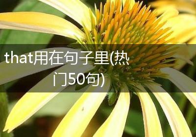 that用在句子里(热门50句)