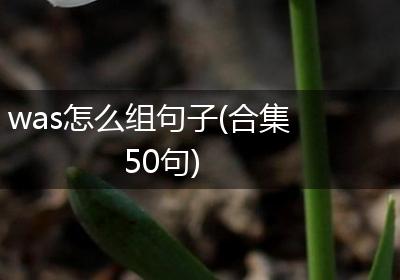 was怎么组句子(合集50句)