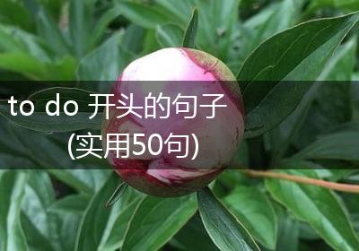 to do 开头的句子(实用50句)