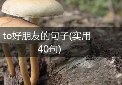 to好朋友的句子(实用40句)