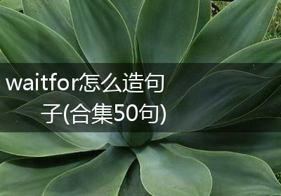 waitfor怎么造句子(合集50句)