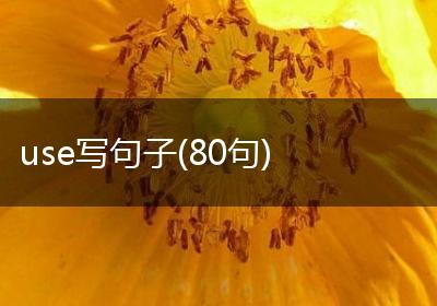 use写句子(80句)