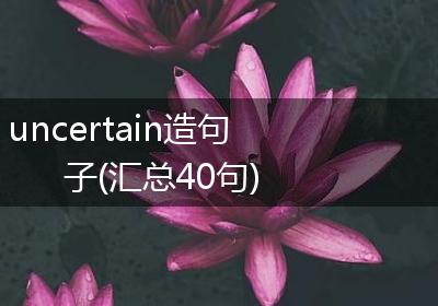 uncertain造句子(汇总40句)