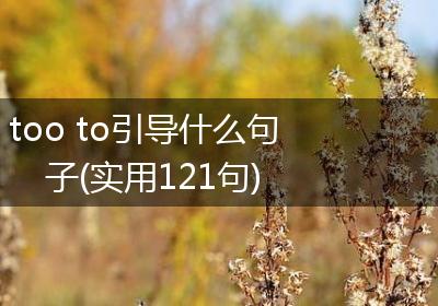 too to引导什么句子(实用121句)