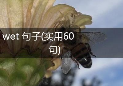 wet 句子(实用60句)
