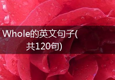 Whole的英文句子(共120句)