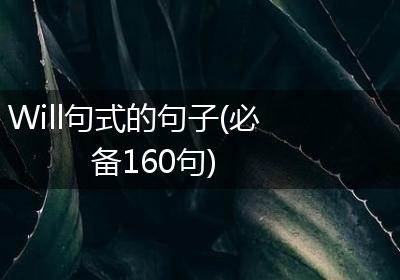 Will句式的句子(必备160句)