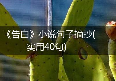 《告白》小说句子摘抄(实用40句)