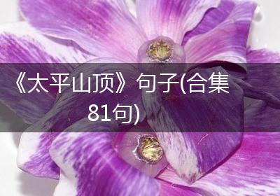 《太平山顶》句子(合集81句)