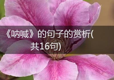 《呐喊》的句子的赏析(共16句)