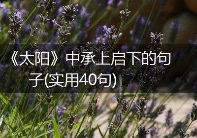 《太阳》中承上启下的句子(实用40句)