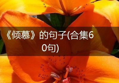 《倾慕》的句子(合集60句)