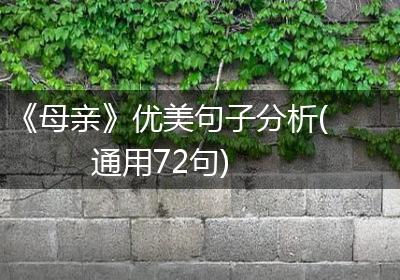 《母亲》优美句子分析(通用72句)