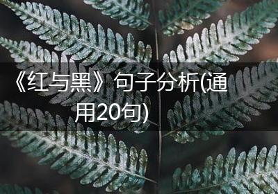 《红与黑》句子分析(通用20句)