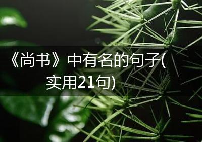 《尚书》中有名的句子(实用21句)