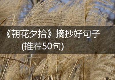 《朝花夕拾》摘抄好句子(推荐50句)