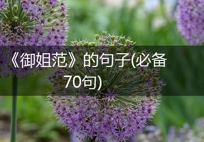 《御姐范》的句子(必备70句)